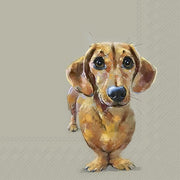 DOG BUDDY SALVETES 33x33CM 20GAB, PAPĪRS