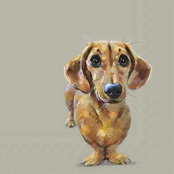 DOG BUDDY SALVETES 33x33CM 20GAB, PAPĪRS
