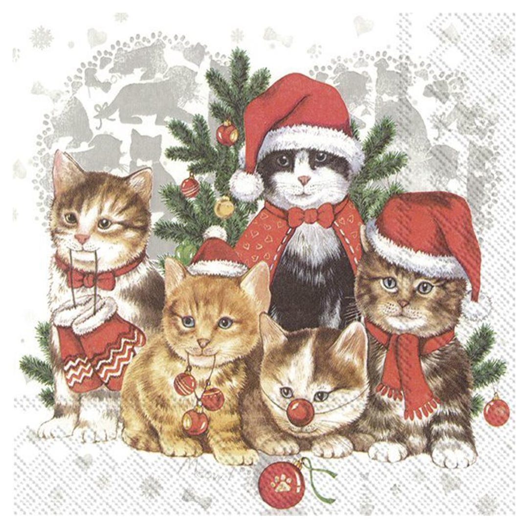 CAT - MAS SALVETES 33x33CM 20GAB, PAPĪRS