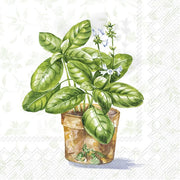 AROMATIC HERBS SALVETES 25x25CM 20GAB, PAPĪRS