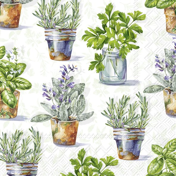 AROMATIC HERBS SALVETES 33X33 CM 20GAB, PAPĪRS