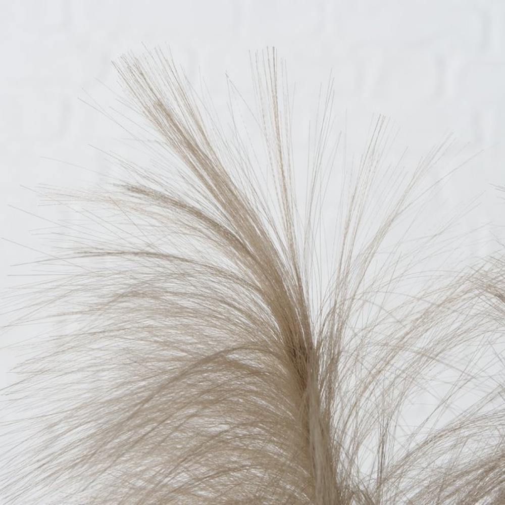 ДЕКОРАТИВНОЕ РАСТЕНИЕ КАМЫШИ 110СМ, 3 ЦВЕТА, Boltze